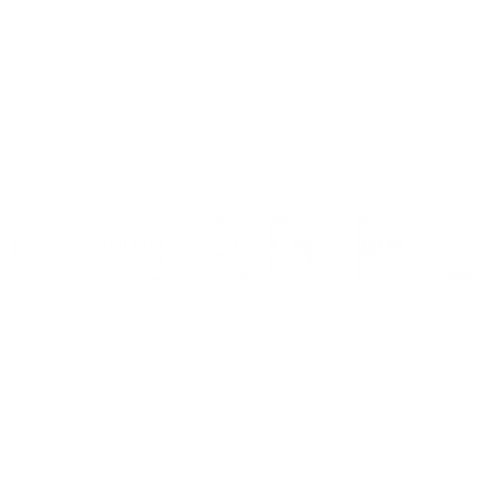 chanel2 150x150.png